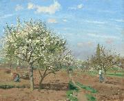 Camille Pissarro Orchard in  Bloom,Louveciennes (nn02) china oil painting reproduction